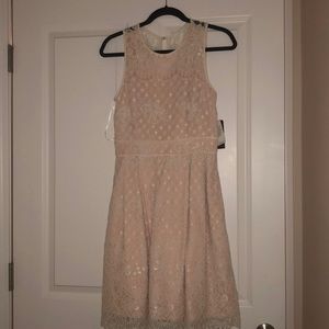 NWT Vince Camuto Pink and Creme Lace Dress